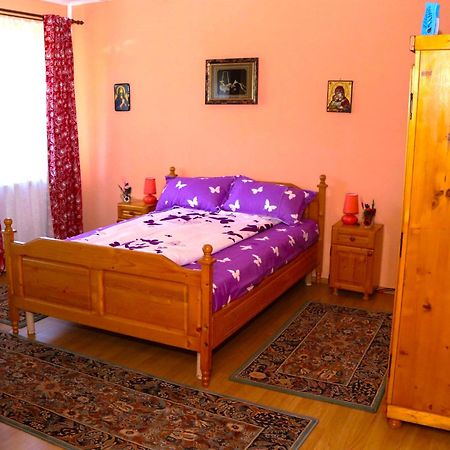 Apartament Iulia Geoagiu Băi Exterior foto