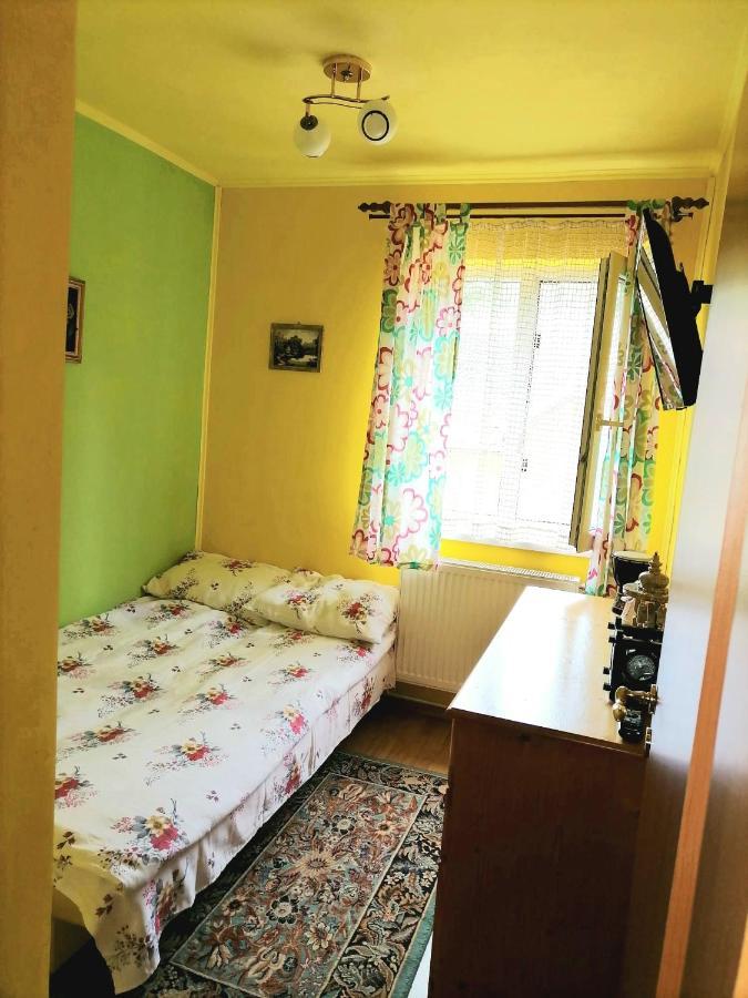 Apartament Iulia Geoagiu Băi Exterior foto